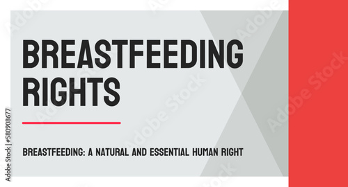Breastfeeding rights: Legal protections for nursing mothers.