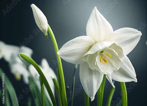 white narcissus flower, generative AI © Nilson Rosa