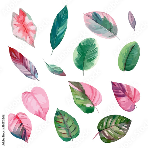 Tropical leaves collection. Hand drawn watercolor vector illustration isolated elements on the white background