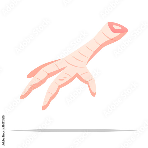 Raw chicken feet vector isolated illustration
