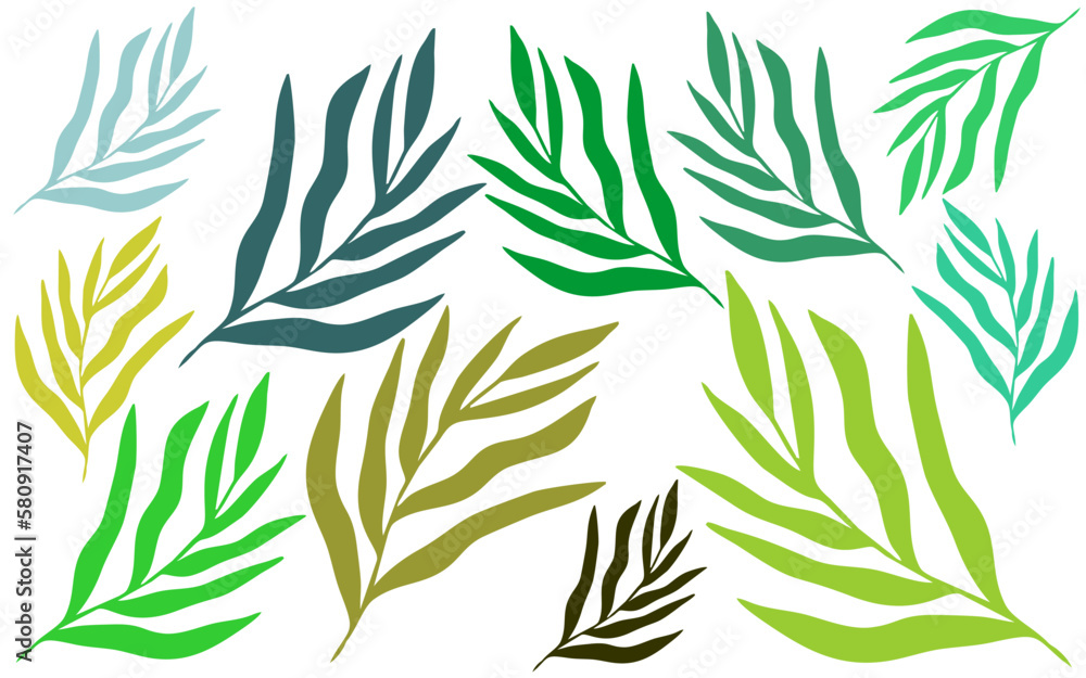 Obraz premium Tropical leaves collection. Vector isolated element on white background. Tropical leaf wallpaper, luxury nature leaf pattern design, hand drawn outline design for fabric