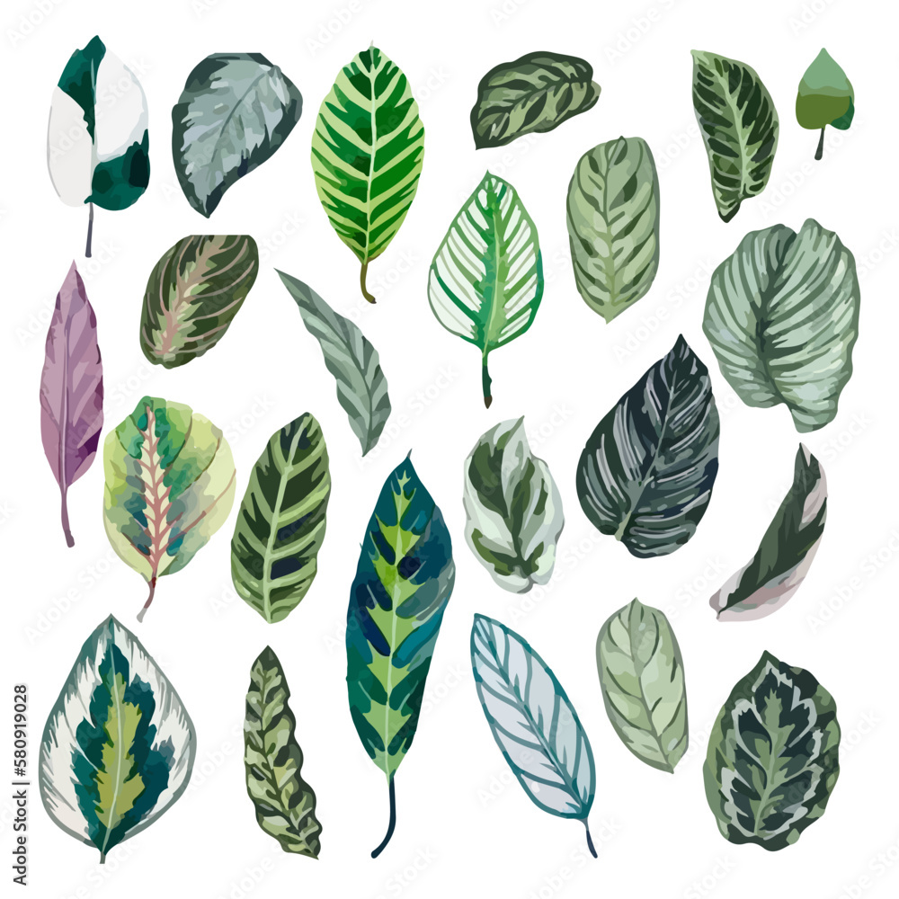 Tropical leaves collection. Hand drawn watercolor vector illustration isolated elements on the white background