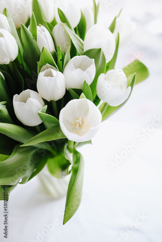 bouquet of white tulips on white background