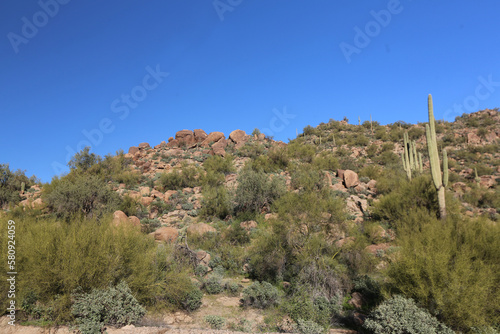 Arizona Desert