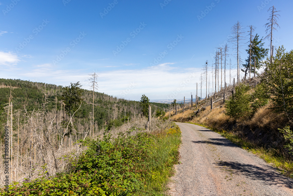 Fototapeta premium Impressionen aus Ilsenburg Harz und Umgebung