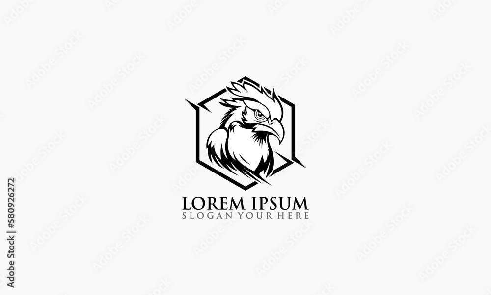 Fototapeta premium hawk design vector template logo