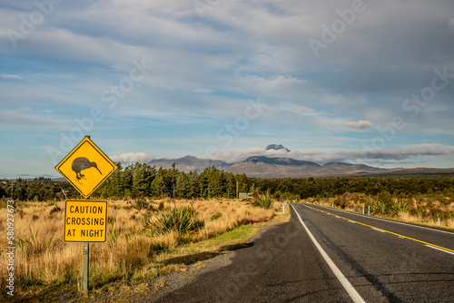 Kiwi Crossing In New Zealand photo