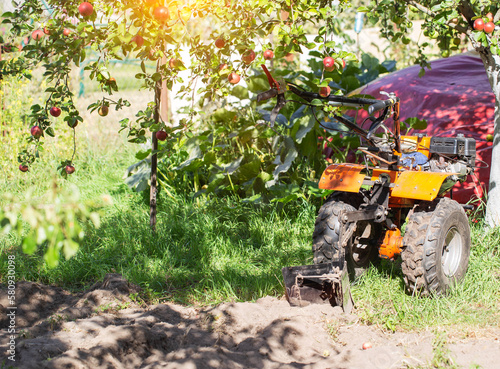 A multifunctional walk-behind tractor stands under an apple tree in summer in sunny weather, industry. Technique for assistance in agriculture. Copy space for text