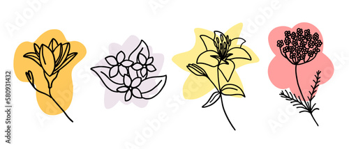 Flower in outline doodle flat style with colorful brush. Simple floral element plant decorative design. Hand drawn line art. Creative sketch. Vector illustration isolated on white background.
