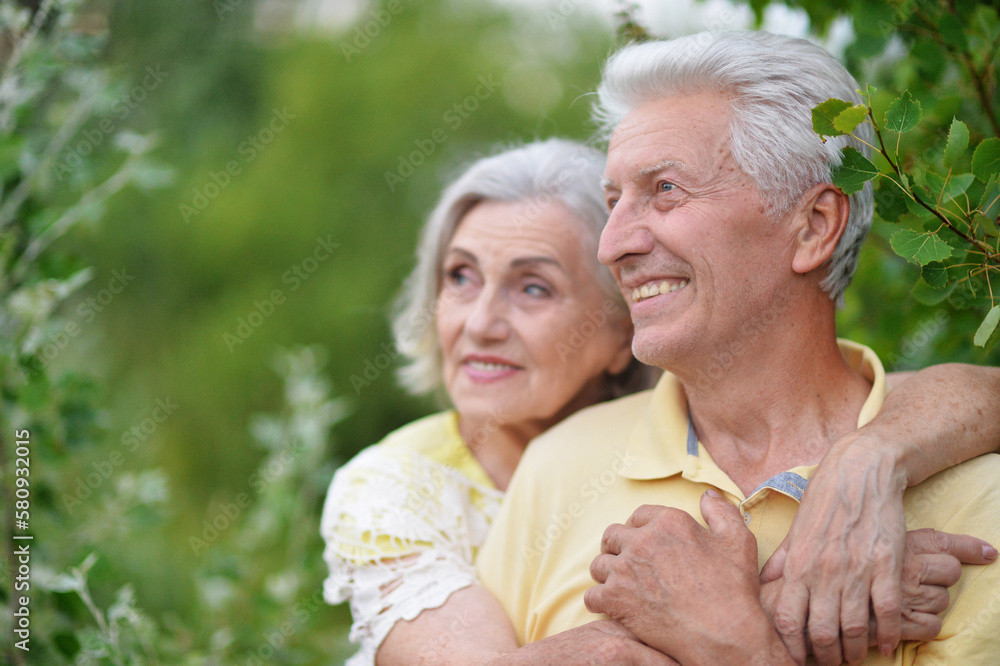 elderly couple walks in nature in summer elderly couple walks in nature in summer