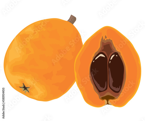 びわ