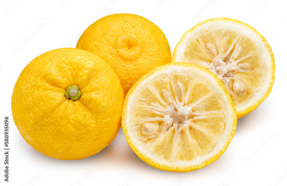 Fresh Sweet Yuzu Orange fruit isolated on white background, Kochi Yellow Yuzu isolated on white background With work path. Fresh Sweet Yuzu Orange fruit isolated on white background, Kochi Yellow Yuzu isolated on white background With work path.