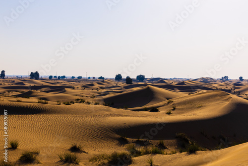 Golden Sand Dune Desert Landscape. Beautiful view of sand dunes in the Al Qudra Desert, Dubai, UAE.
