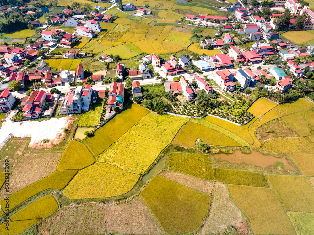 Panoramic view of Bac Son valley during the ripe rice season. View from the top of Na Lay mountain, Bac Son district, Lang Son province, Vietnam