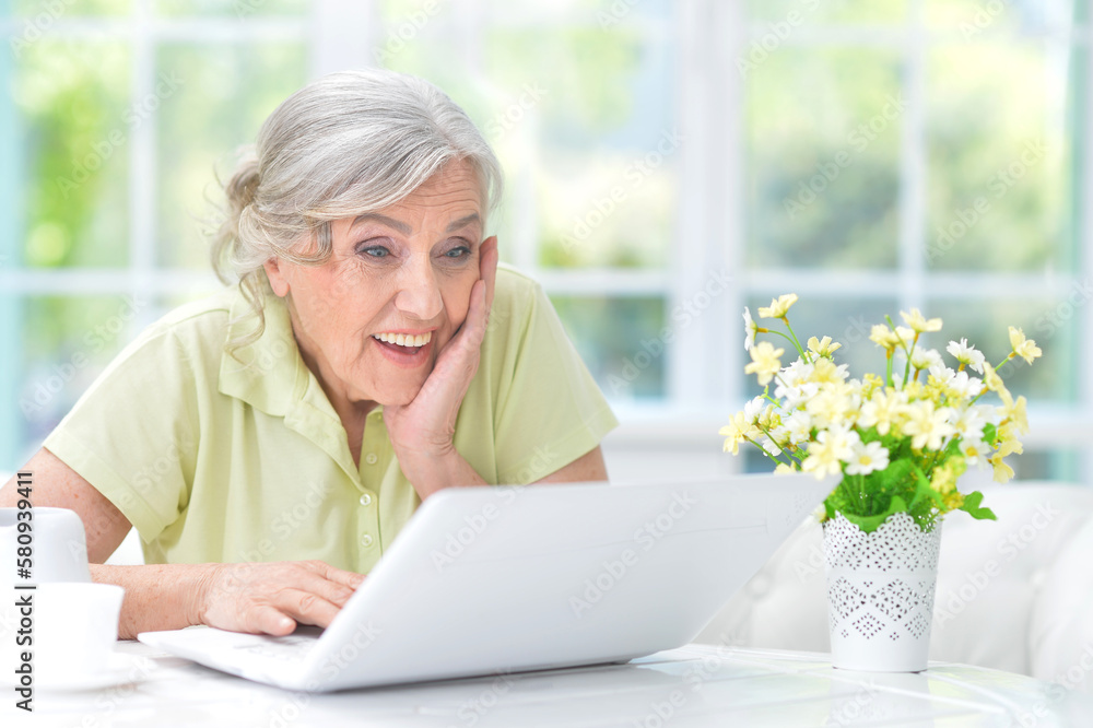 old nice woman using laptop at home old nice woman using laptop at home