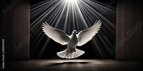 dove flying in a beam of light