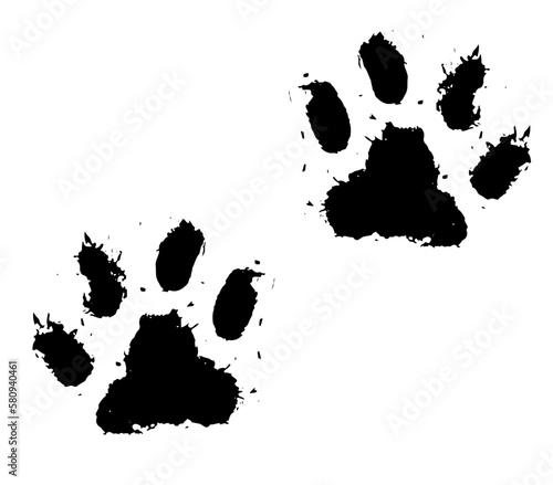 tiger paw in grunge style vector