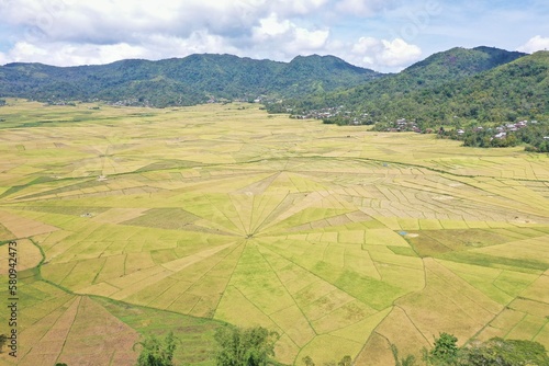 Drone panorama shot of spider web rice field in Ruteng on Flores with rainforest covered hills in the background. photo