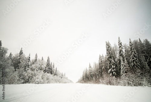 Scenic view of snow covered trees against sky photo