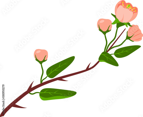 Design element with blooming spring branch natural composition vector