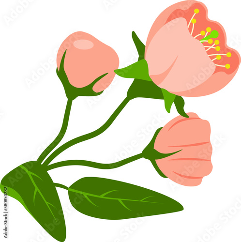 Design element with blooming spring inflorescence natural composition vector