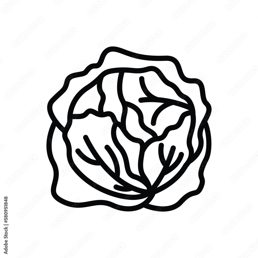 Black line icon for cole cabbage Black line icon for cole cabbage