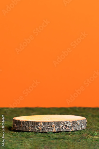 Wooden slice podium on green moss on an orange background. Premium scene for product promotion, beauty, natural eco cosmetic. Empty showcase, display case.