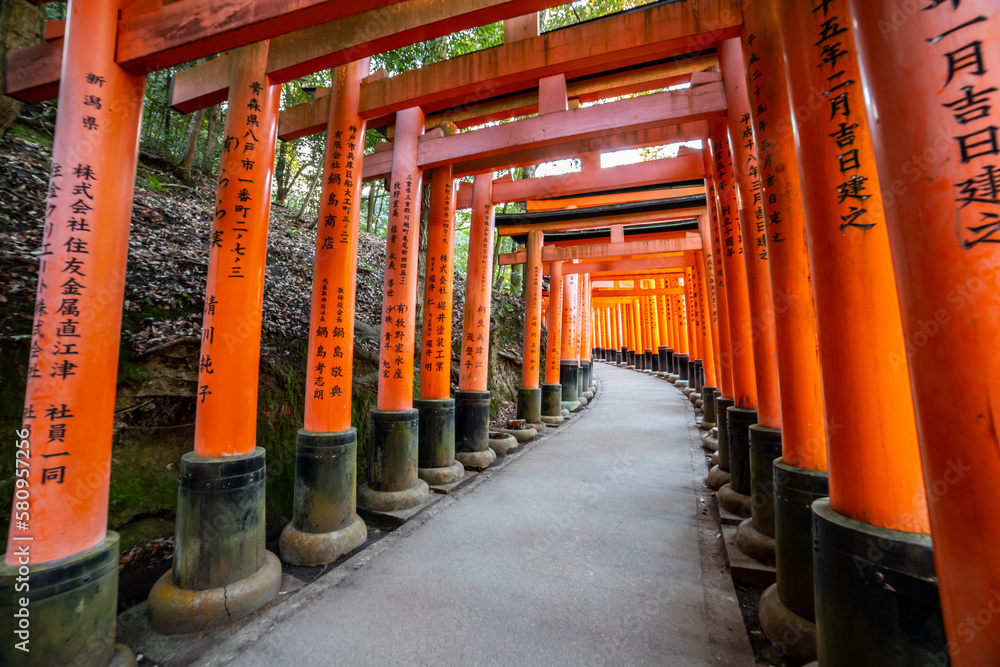 Red torii along a path at the Fushimi Inari shrine in Kyoto.