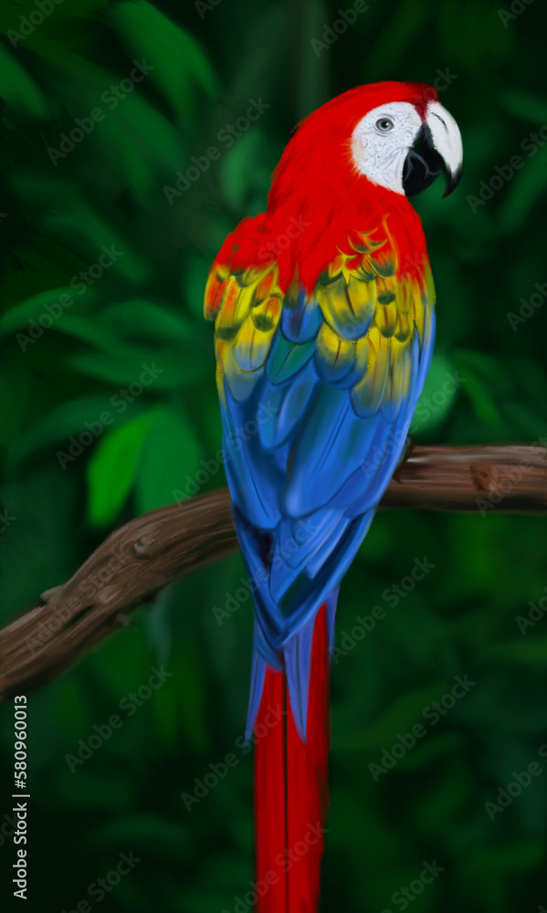 red and blue macaw painting