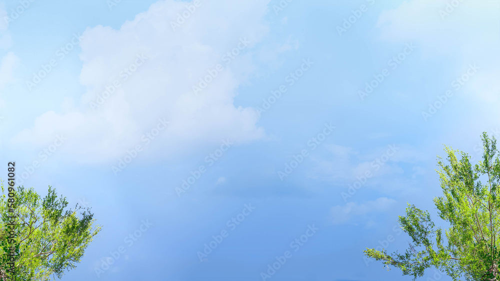 Beautiful background for a banner with crowns and tops of birches stretching up to a blue sky with clouds and bright green leaves. Beautiful background for a banner with crowns and tops of birches stretching up to a blue sky with clouds and bright green leaves.
