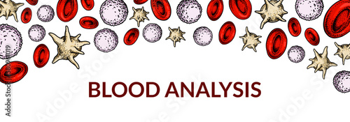 Blood cells background. Design for blood test, anemia, donation, hemophilia, laboratory scientific research concepts. Vector illustration in sketch style