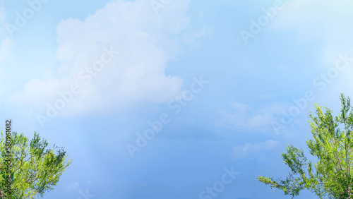 Beautiful background for a banner with crowns and tops of birches stretching up to a blue sky with clouds and bright green leaves.