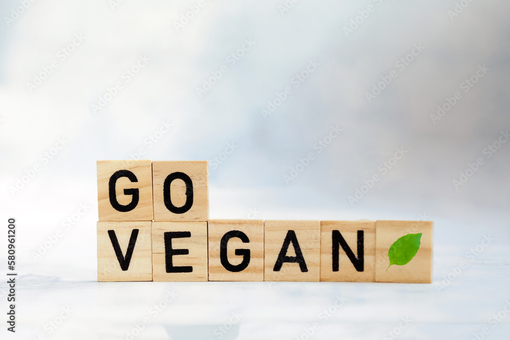 Go vegan text with fresh with green leaf on wooden cubes. Veganism, vegetarian,health,green,eco movement concept. copy space Go vegan text with fresh with green leaf on wooden cubes. Veganism, vegetarian,health,green,eco movement concept. copy space