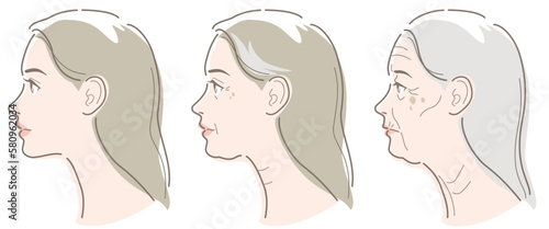 Woman's face seen from the side. Skin aging image of young, middle age, elderly. Vector illustration isolated on white background.