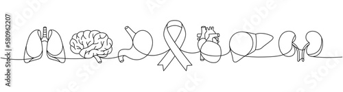 Lungs, brain, stomach, heart, liver, kidneys one line continuous drawing. Cancer awareness ribbon, AIDS ribbon continuous one line illustration.