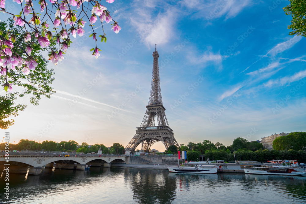 Obraz premium eiffel tour over Seine river