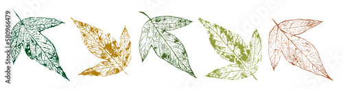 Autumn leaves stamps set. Vector herbarium elements.