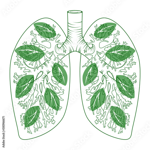 lungs with green leaves. healthy human lungs with leaf vector concept