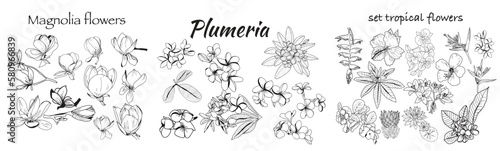 Set of Hand drawn tropical flowers black and white