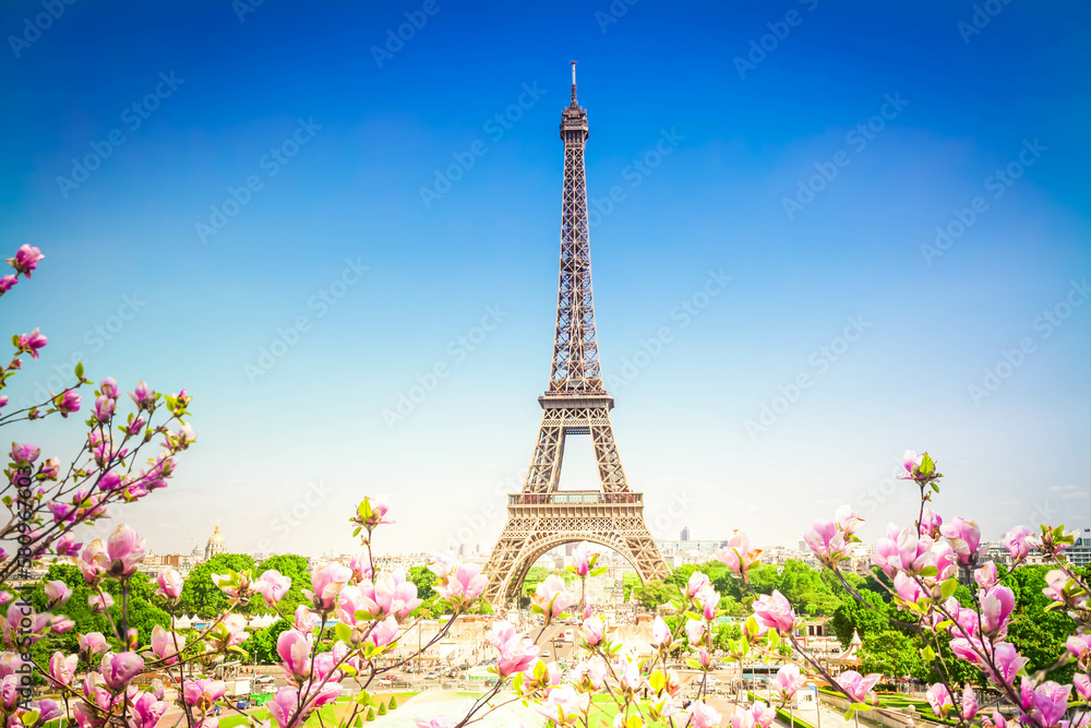 Eiffel Tower and Paris cityscape - obrazy, fototapety, plakaty 