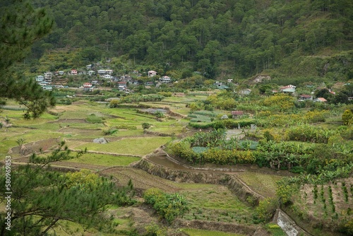 Panoramic view over rice fields and huts in Sagada, Philippines, in the background a forest.