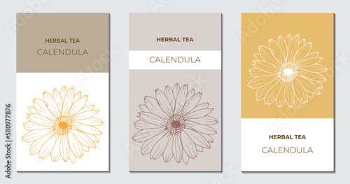Herbal tea Calendula labels templates set. Abstract vector packaging design layout with hand drawn marigold flower.