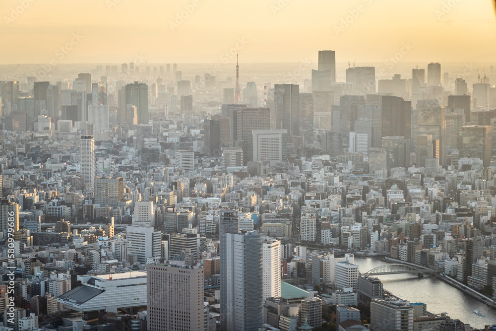Tokyo from above at sunset in Japan.