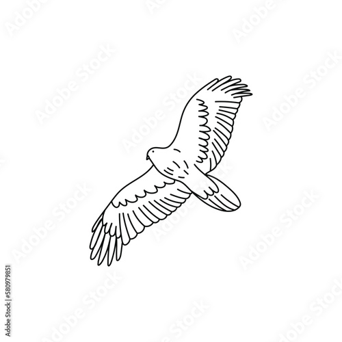 A black and white line art drawing of a Eagle bird with wings spread.