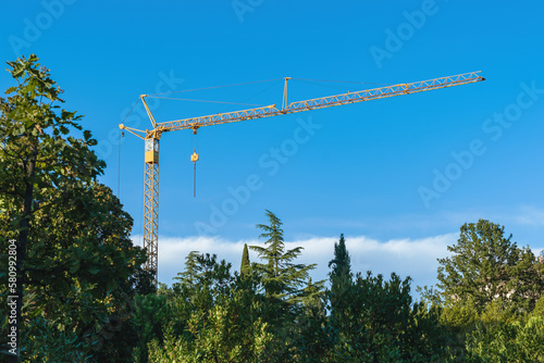 Construction crane rising above the public park trees