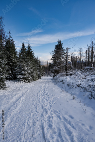 Winterlandschaft im Nationalpark Harz