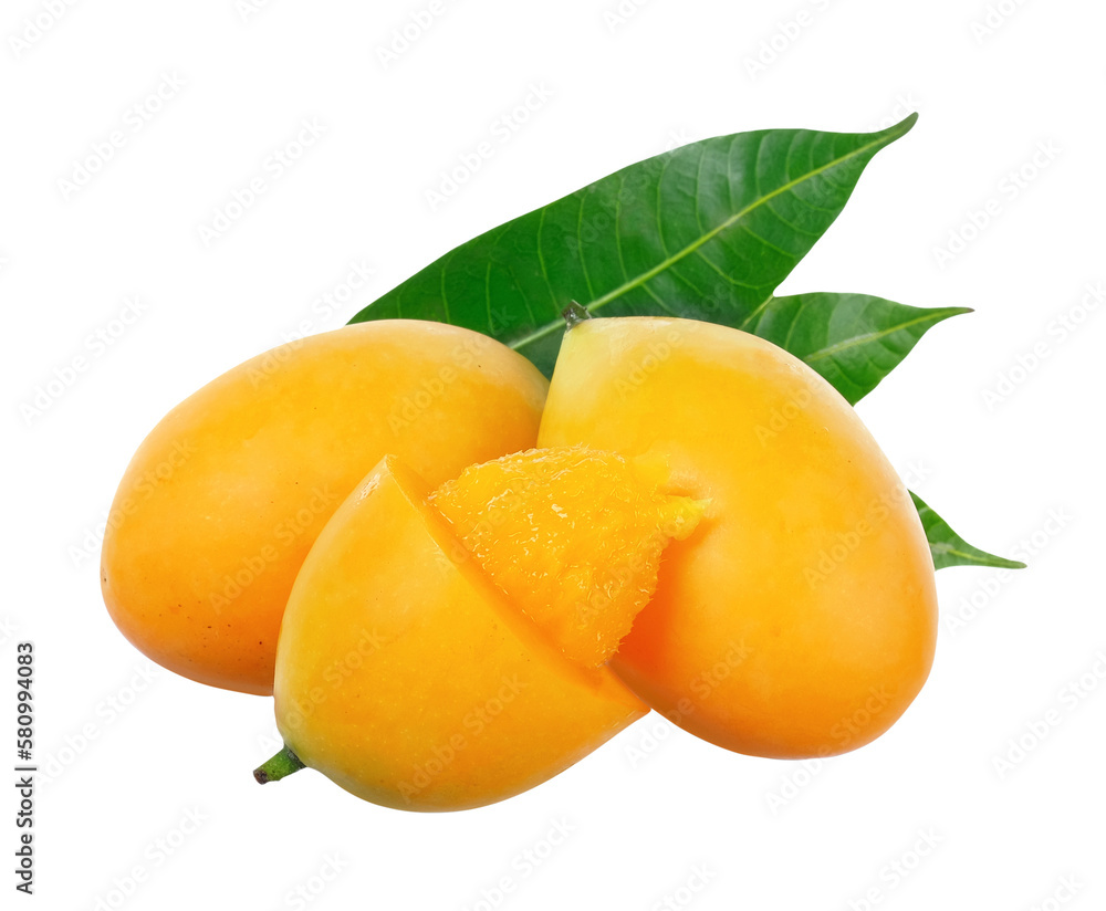 Marian Plum isolated on white background Marian Plum isolated on white background