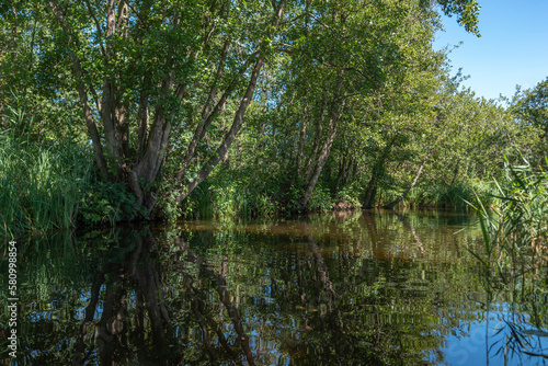 Landschaft im Naturschutzgebiet Loosdrechtse Plassen bei Loosdrecht. Provinz Nordholland in den Niederlanden © Jürgen Wackenhut