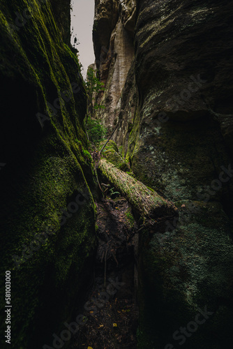Adršpach Rocks - Adršpach-Teplice Rocks Nature Reserve, Czech Republic - adventure path in forest