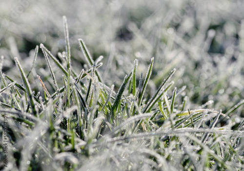 Close up frozen ice on grass